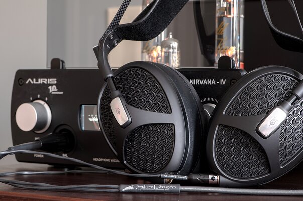 Auris Headphone Amplifier with Meze Empyrean 2 Headphones