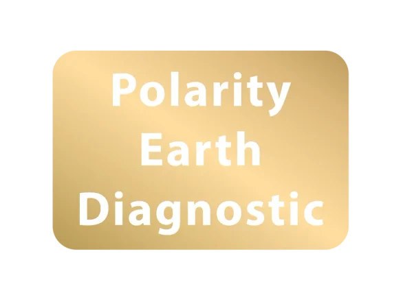 Polarity Earth Diagnostic badge