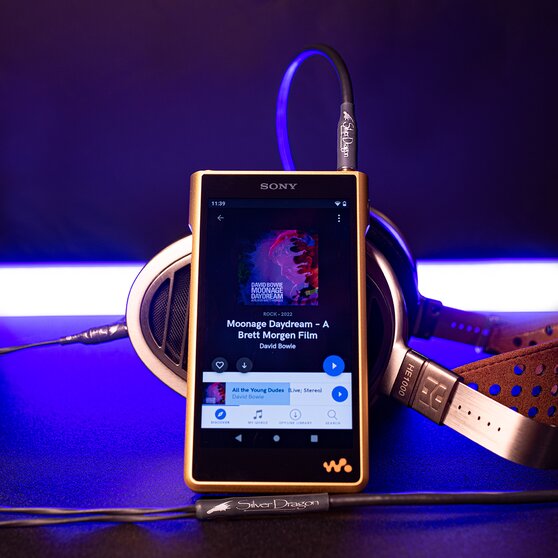 Sony Walkman NW-WM1ZM2 DAP