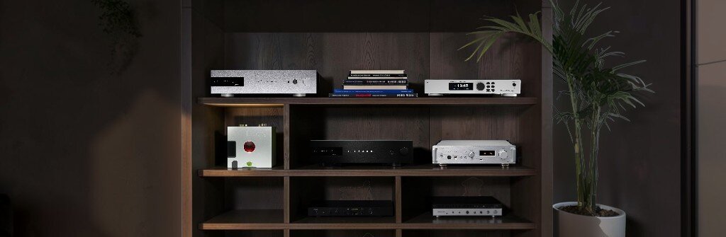 amp/dacs on bookcase with plant on side