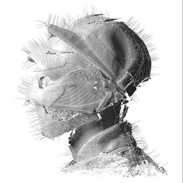 Woodkid album cover