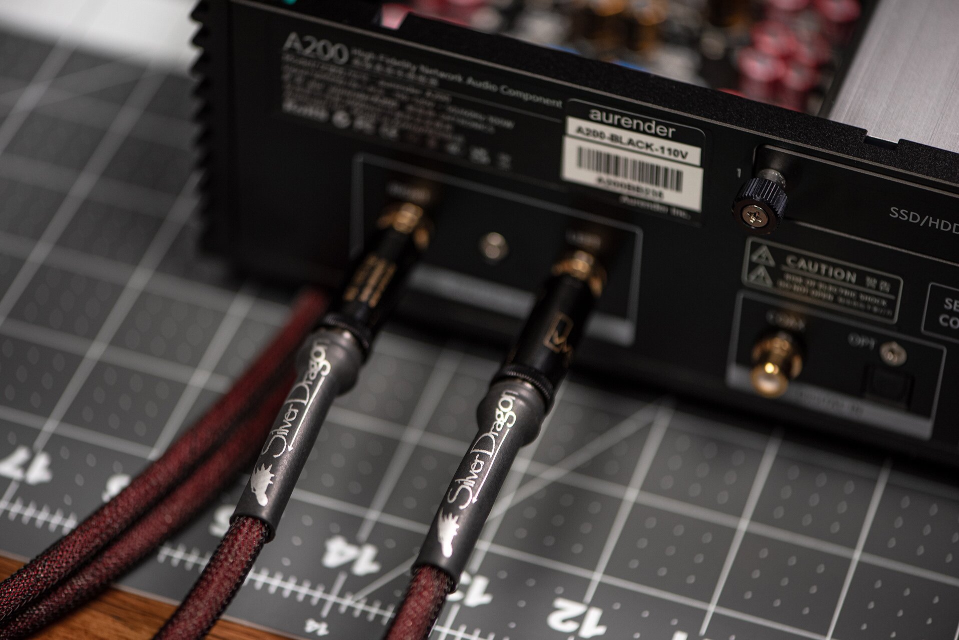 Aurender A200 Music Streamer back panel with two Dragon Audio Cables attached