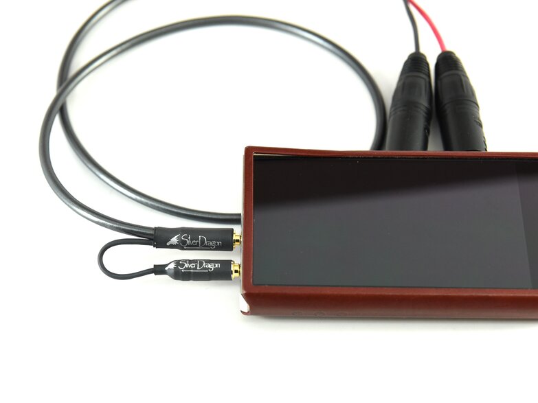 silver dragon portable mini cable attached to dap