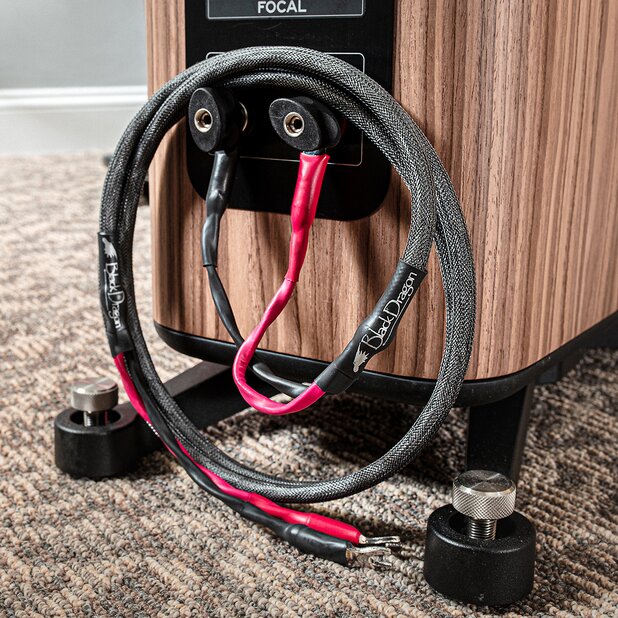 Black Dragon Speaker Cable connected to speaker
