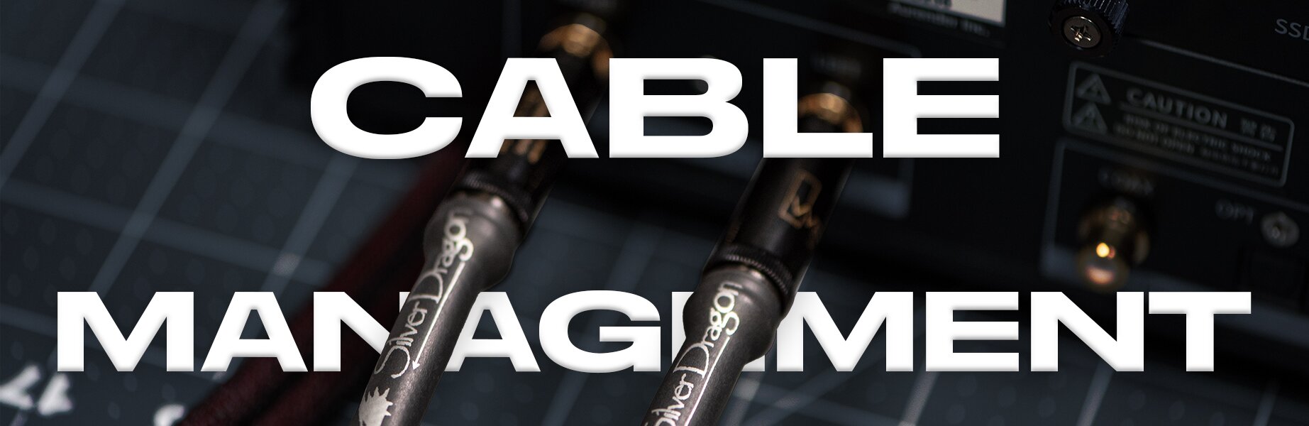 cable management with two silver dragon audio cables