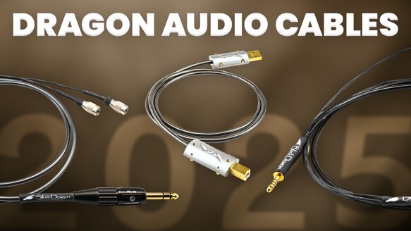 DRAGON AUDIO CABLES GRAPHIC