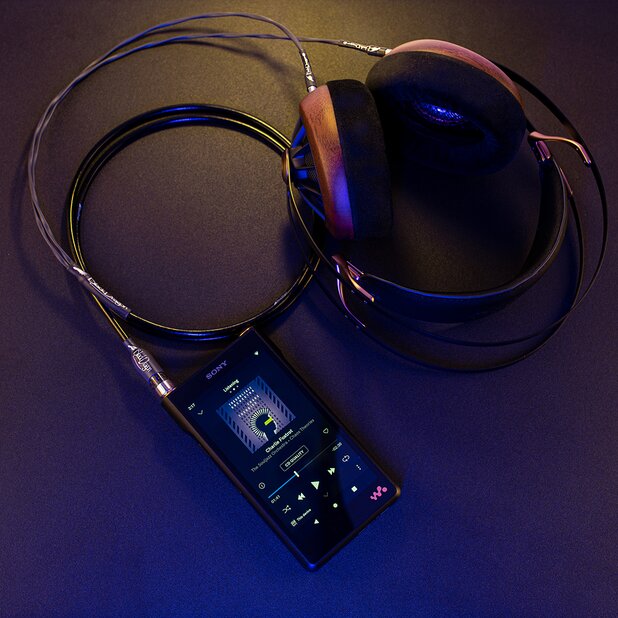 Sony NW-WM1AM12 DAP with Headphones