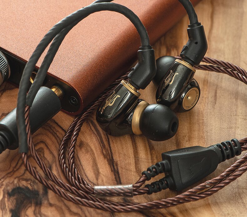 Meze Advar IEMs with the Bronze Dragon MMCX IEM Cable