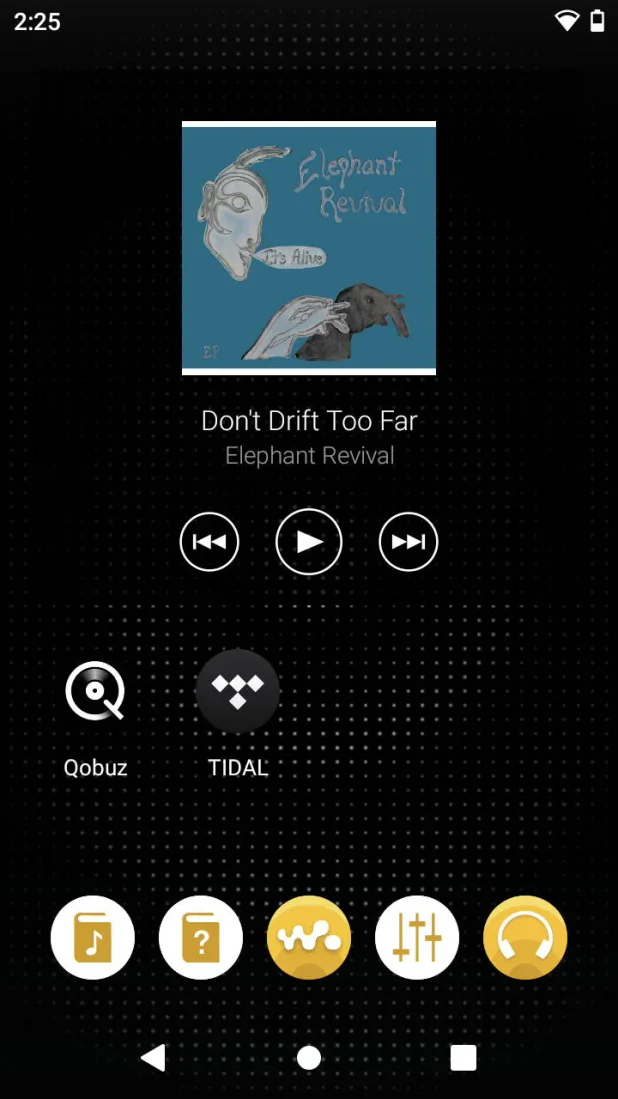 Sony Walkman NW-WM1ZM2 DAP home screen