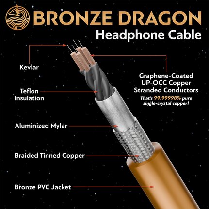 bronze dragon poster with connection end labeled