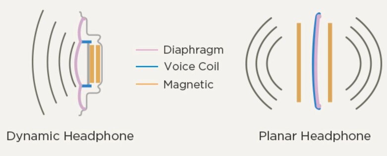 diaphragm diagram