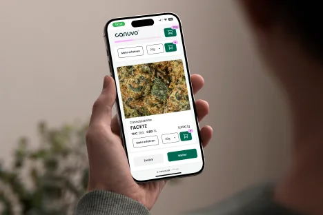 Hand hält Smartphone mit Cannabis Rezept-Konfigurator von canuvo.de