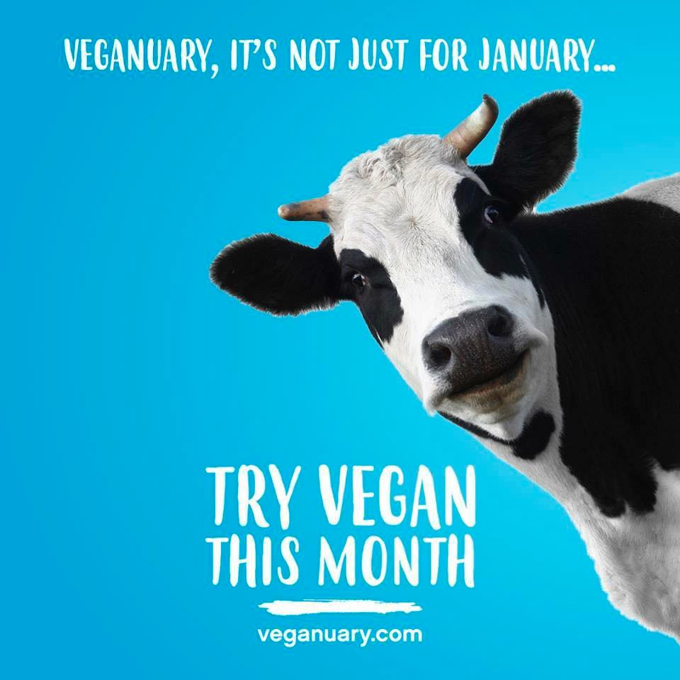 Veganuary Banner