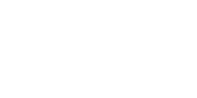 Veo logo