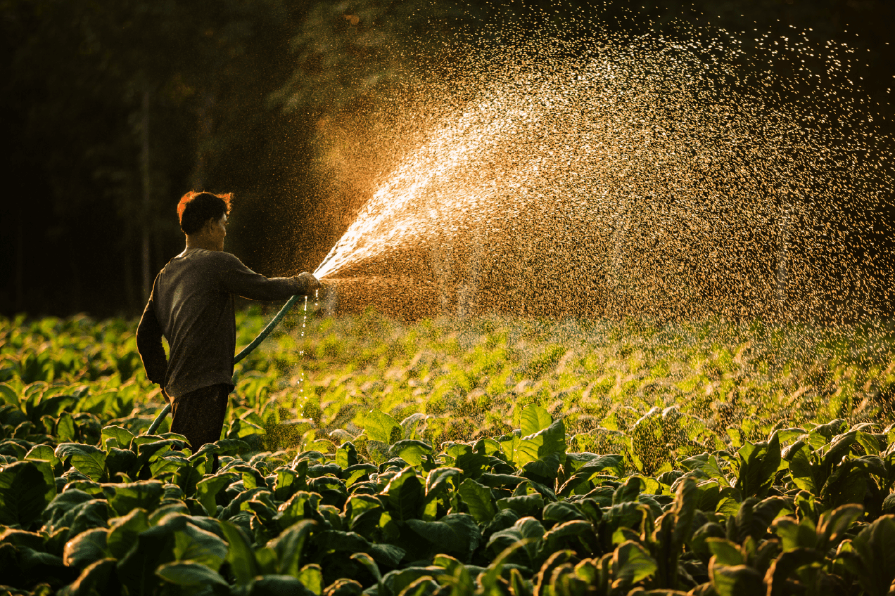 Uso del agua en la agroindustria: ¿Por qué es fundamental?