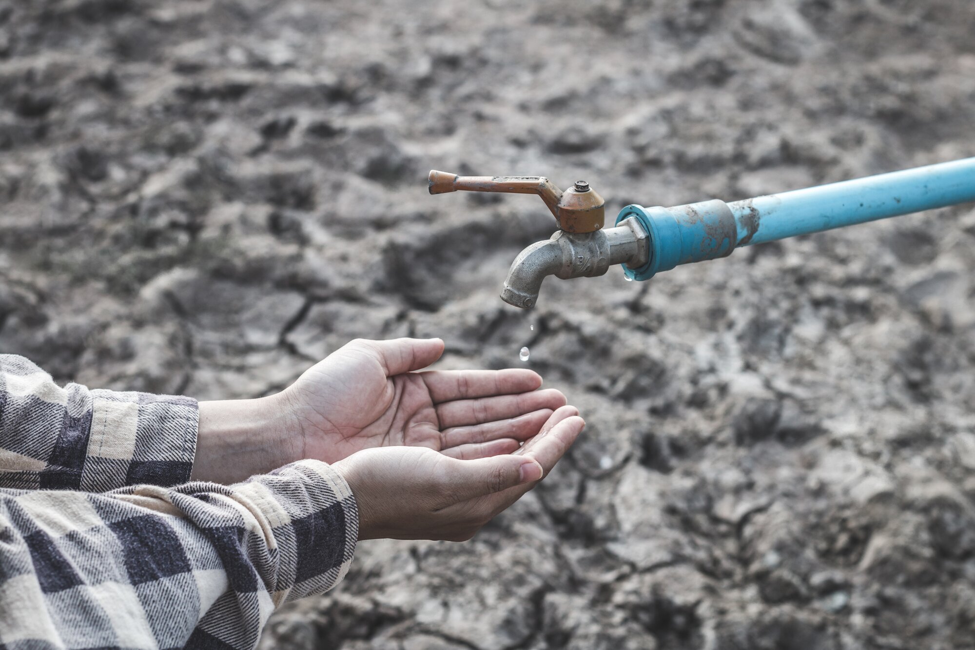 ¿Cómo prevenirse ante el desabasto de agua en México?