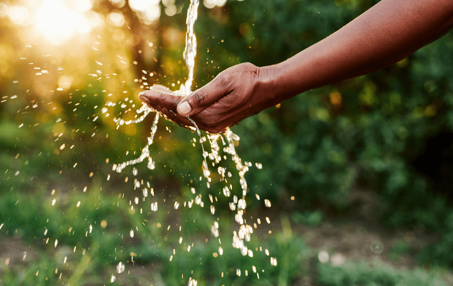 Gestión eficiente del agua en la agricultura: Consejos para los agricultores &#187; Rotoplas Agroindustria