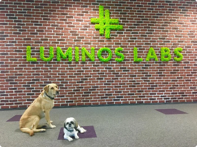 Luminos Labs office