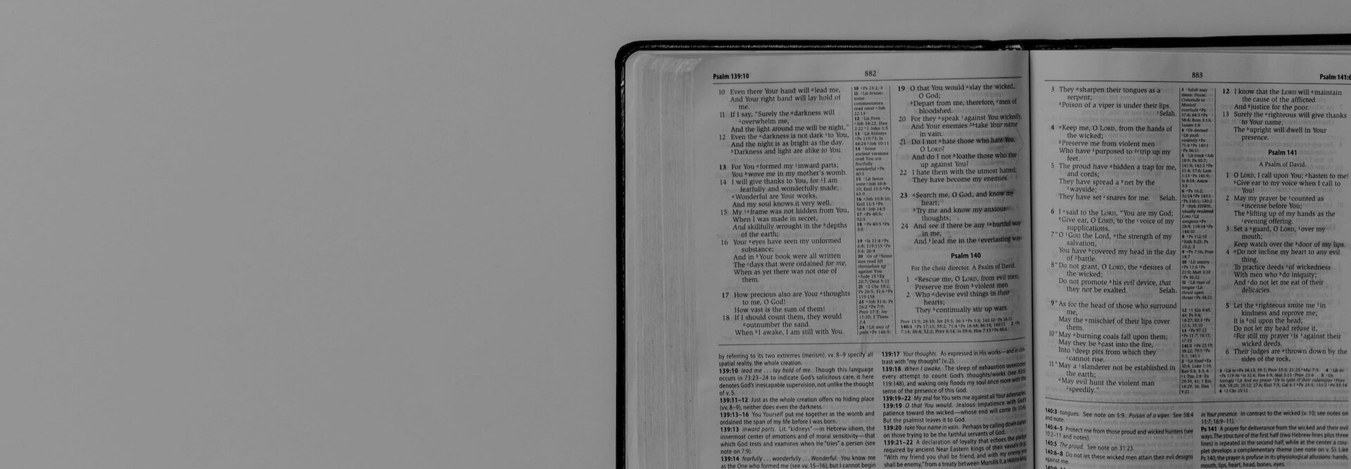 Biblica hero