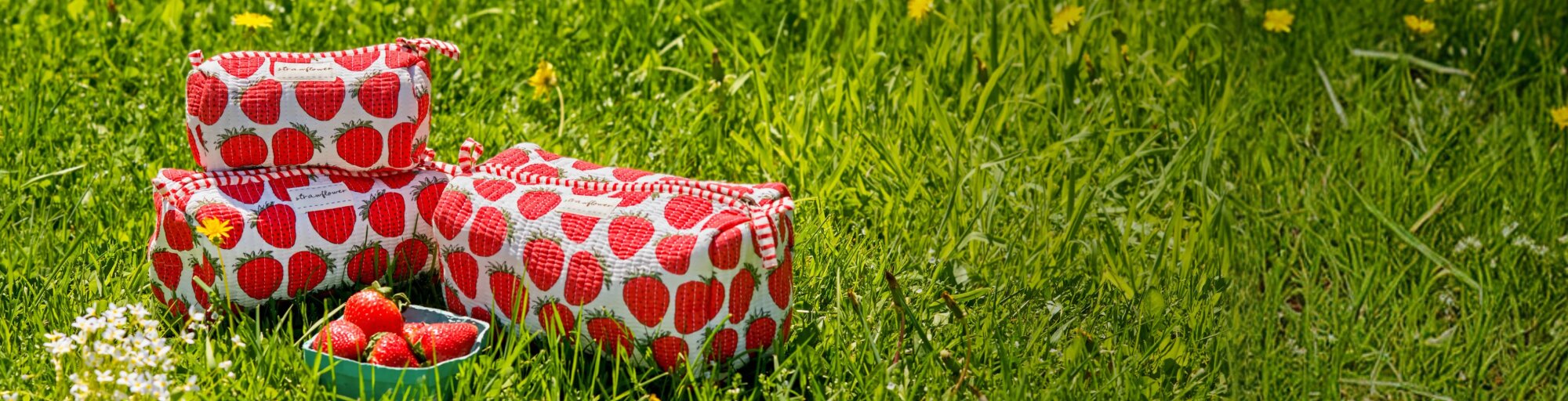 Strawberry-print quilted Strawflower set of 3 cosmetic pouches and fresh strawberries arranged in tall green grass on a bright summer day.
