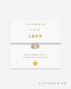 Image of A Littles & Co Charmed Moments "Luck" Bracelet