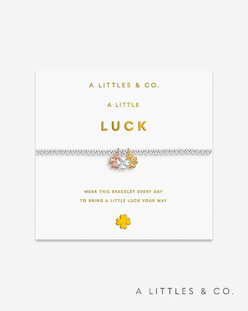 Image of A Littles & Co Charmed Moments "Luck" Bracelet