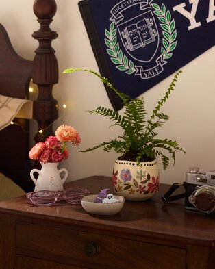 Dorm-inspired tabletop with flowers, plants, books, and decorative accents.