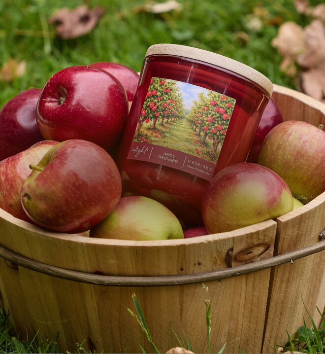 Alight Apple Orchard candle nestled among fresh apples in a wooden basket.