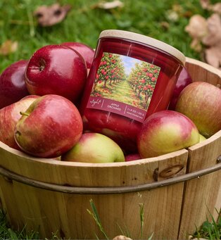 Alight Apple Orchard candle nestled among fresh apples in a wooden basket.