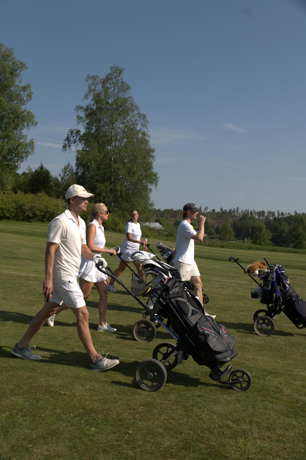 Golfbild 3