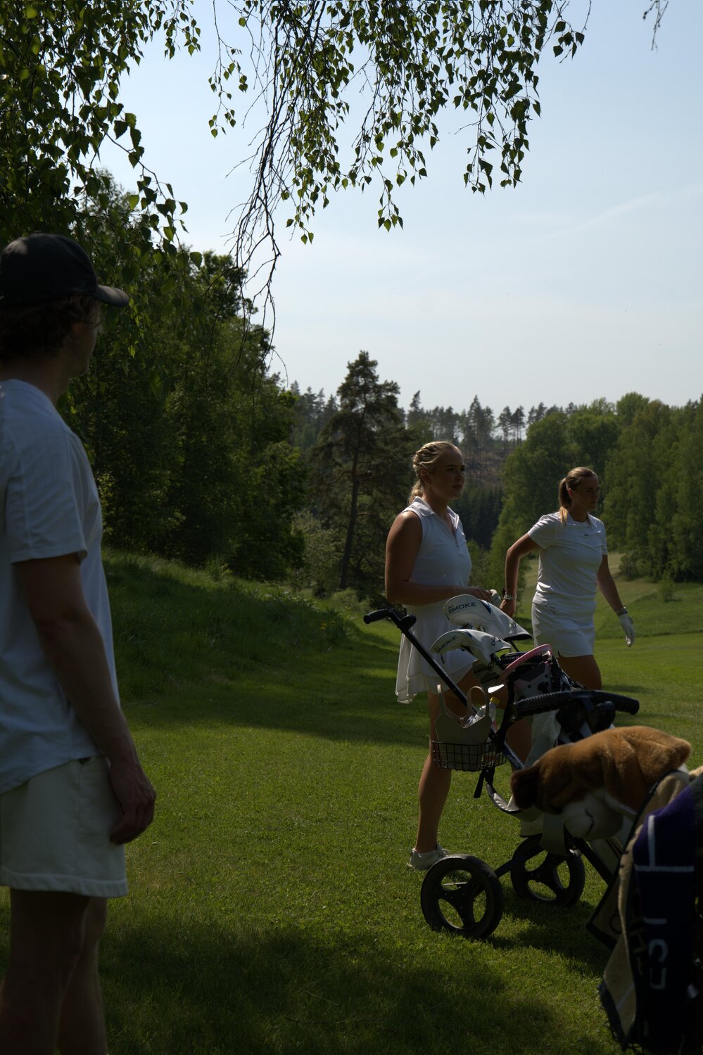 Golfbild 8