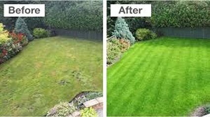 Before and after of lawn maintenance