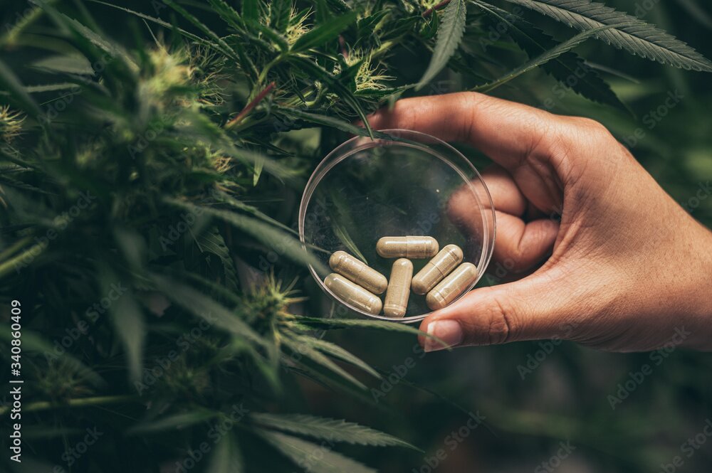 Article illustration