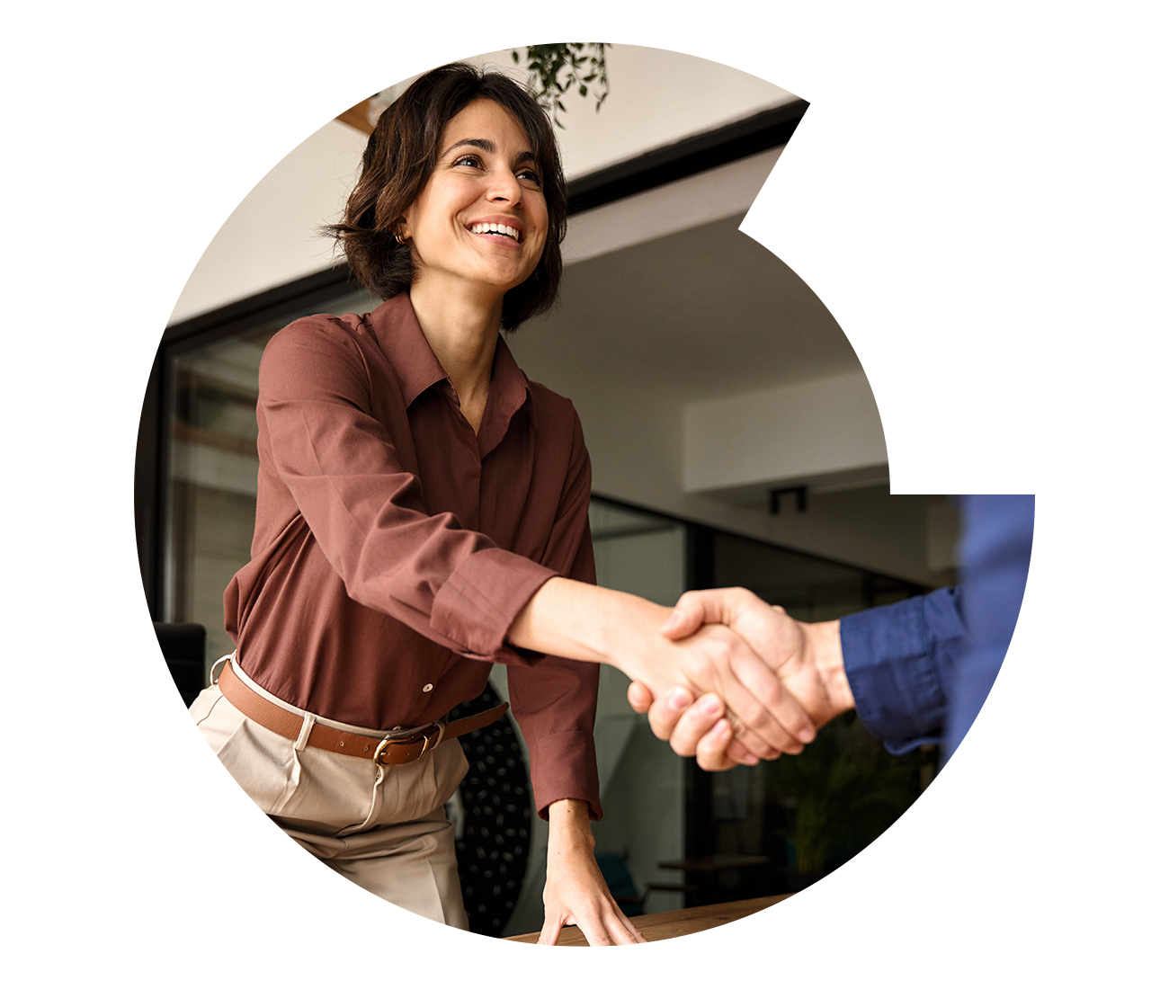 Legal professionals shaking hands