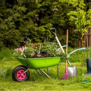 Garden Tools