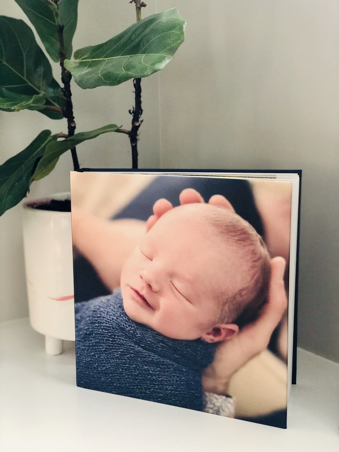 Create a Photo Book of Baby's First Milestones