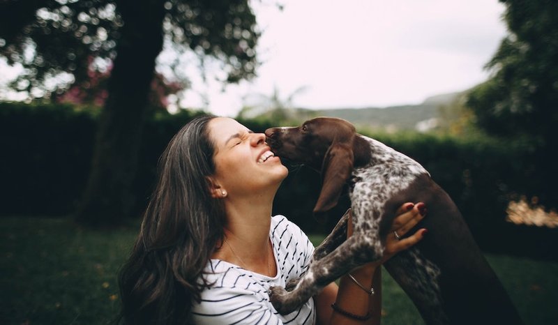 cat or dog loss sympathy gifts