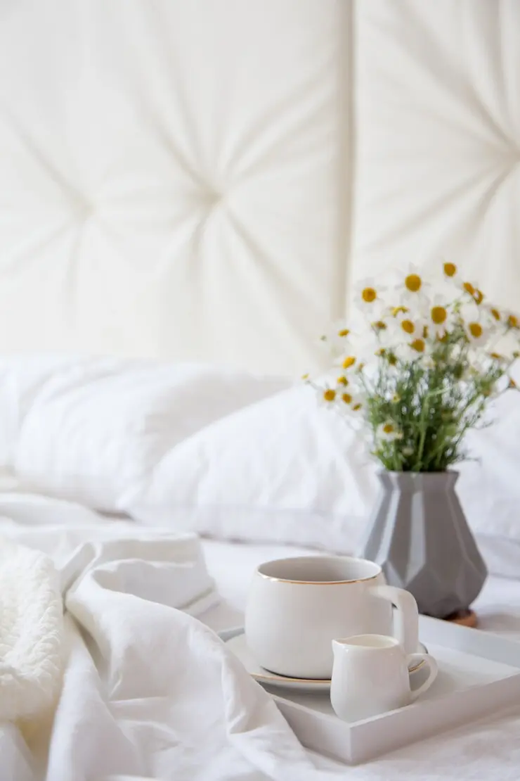 Bed and Plant