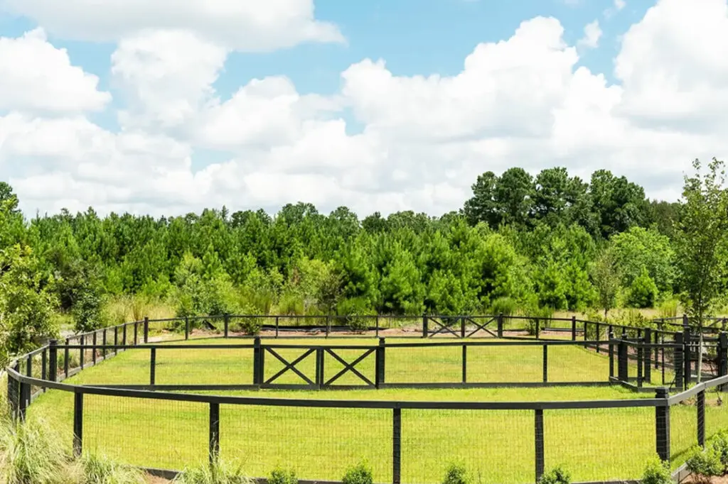 Amenity Image