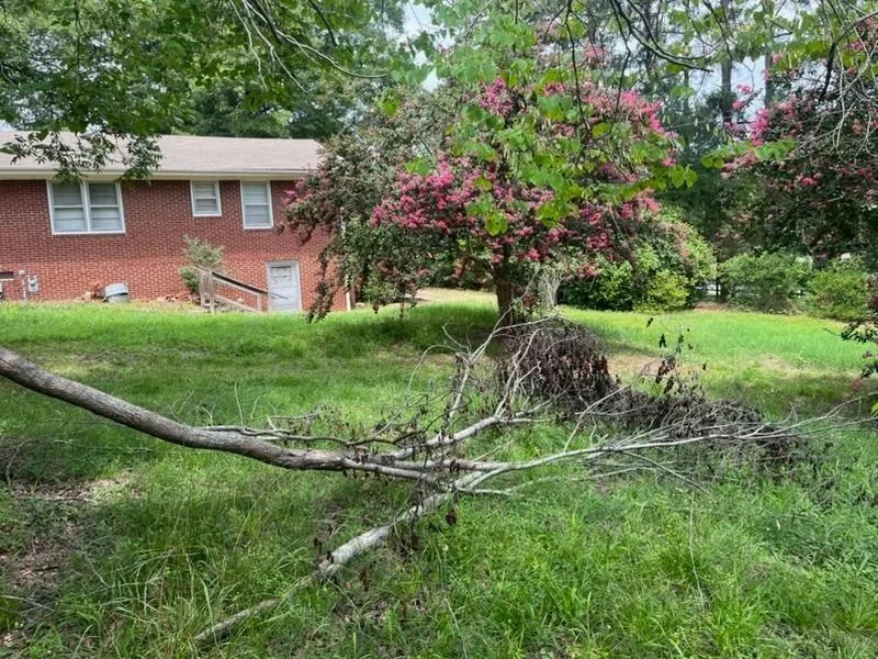 Landscaping service in Wendell, Zebulon, Knightdale, and Clayton, NC