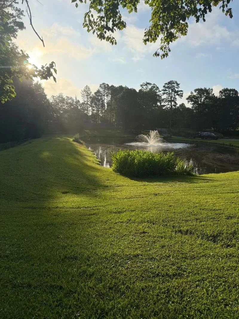 Lawn Care service in Wendell, Zebulon, Knightdale, and Clayton, NC