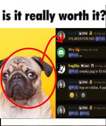 Funny image 1