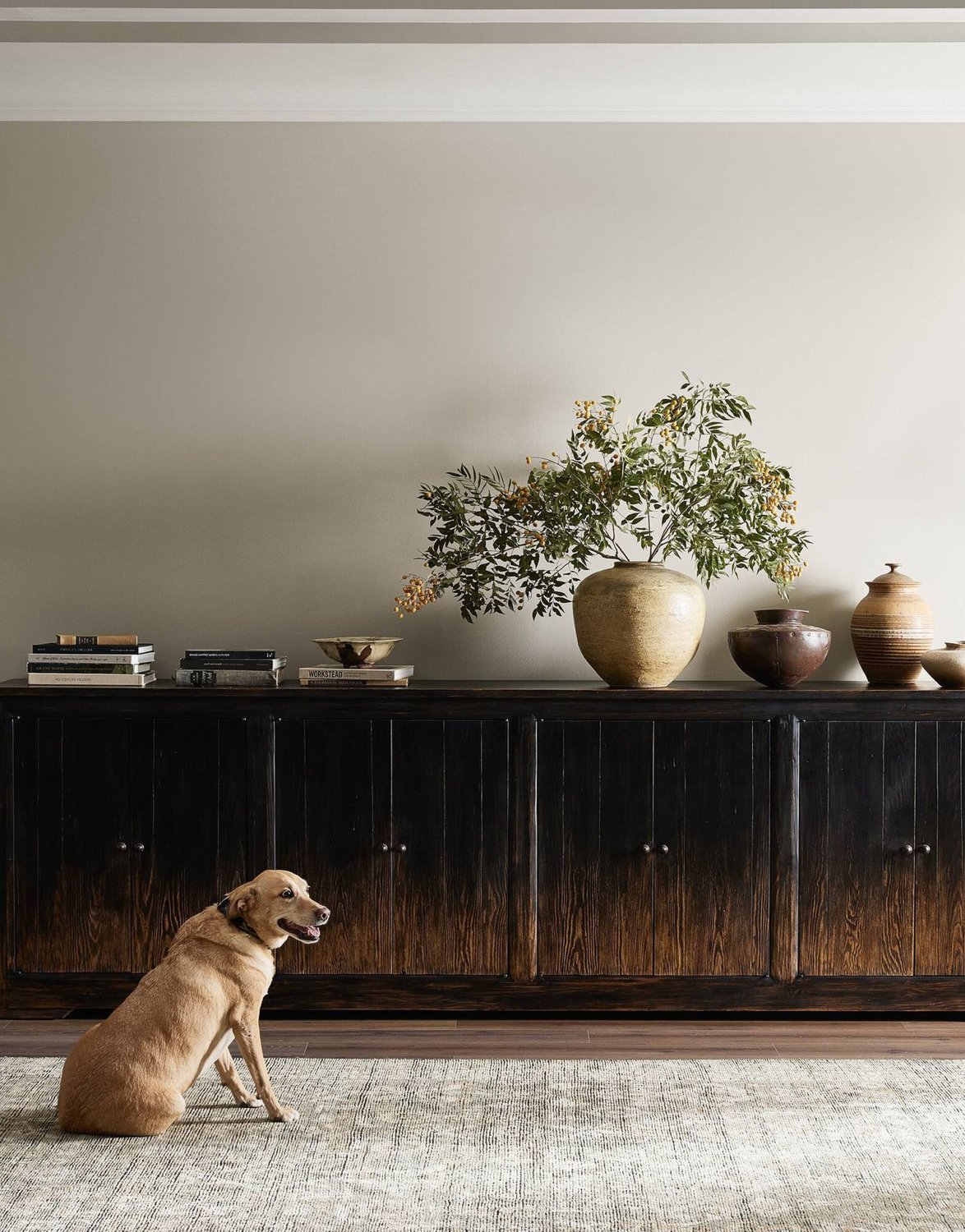 Dog sitting in front of wooden cabinet styled with decor.
