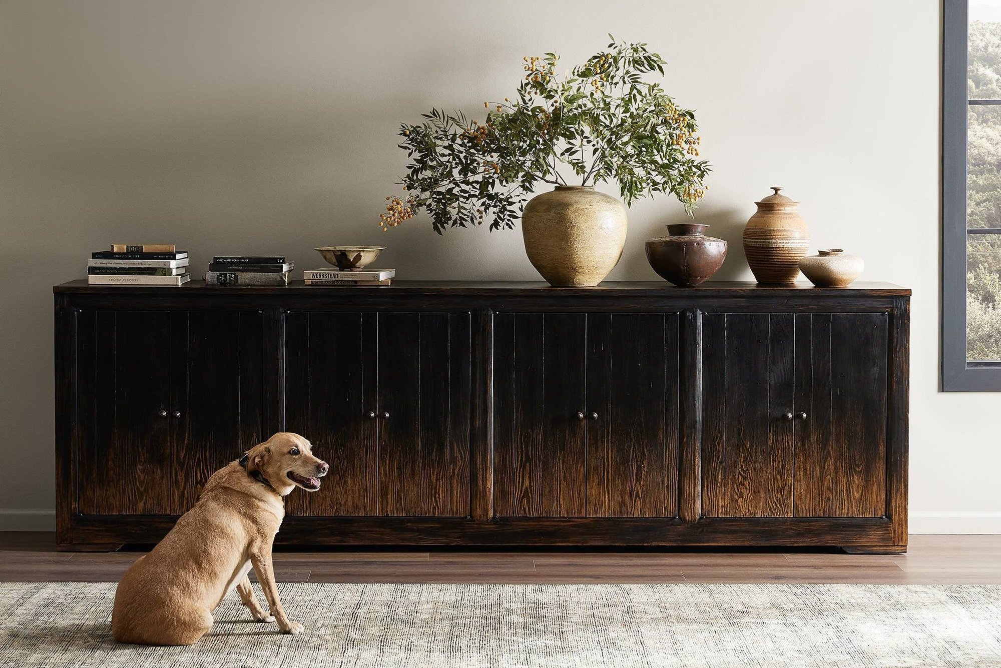 A dog sitting on a rug in front of a black sideboard with styled decor.