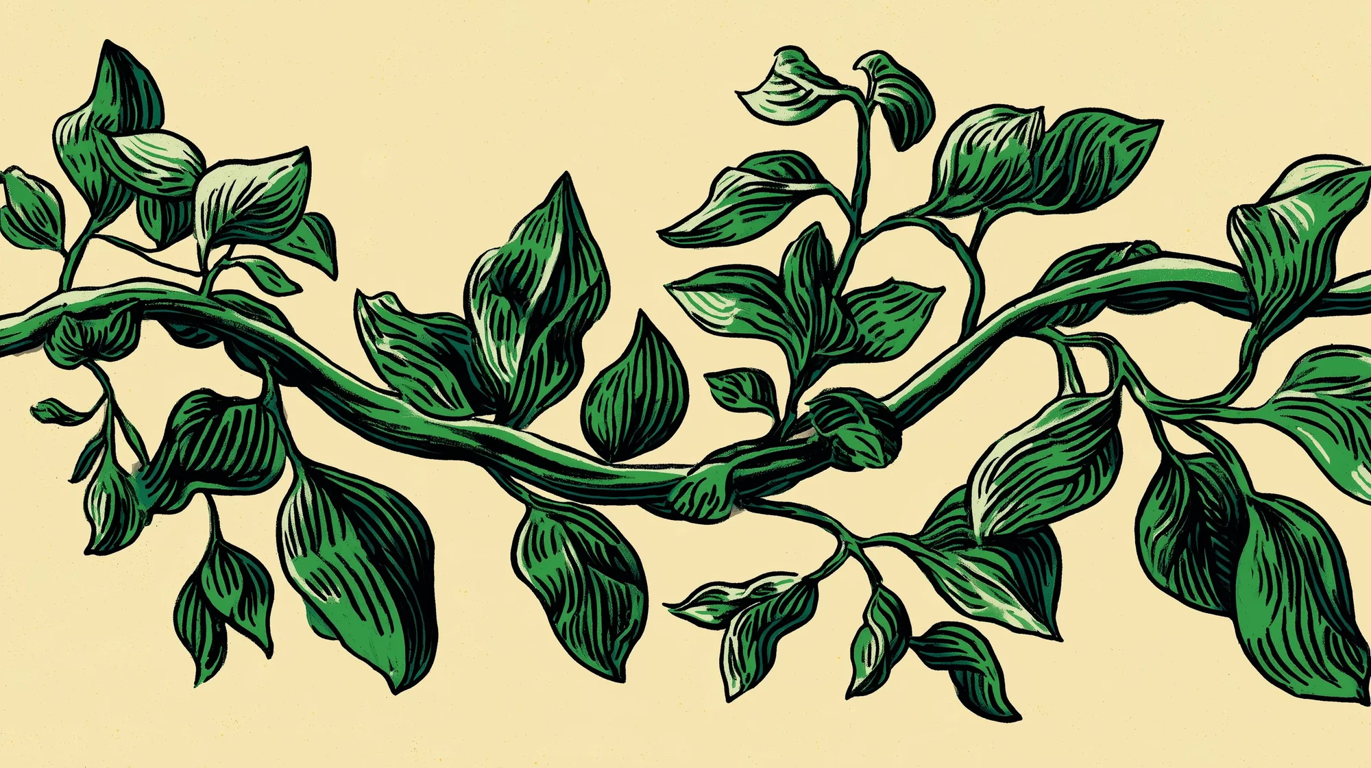 Asiakkaan ostopolku on kasvun ydin