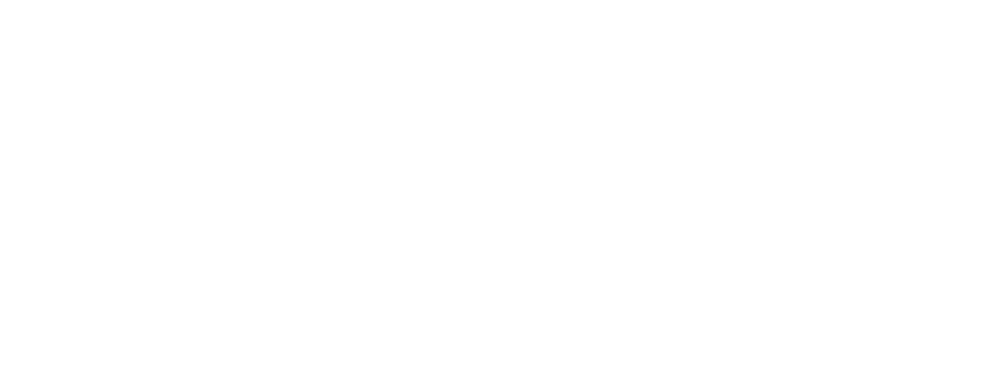 Next Perimeter