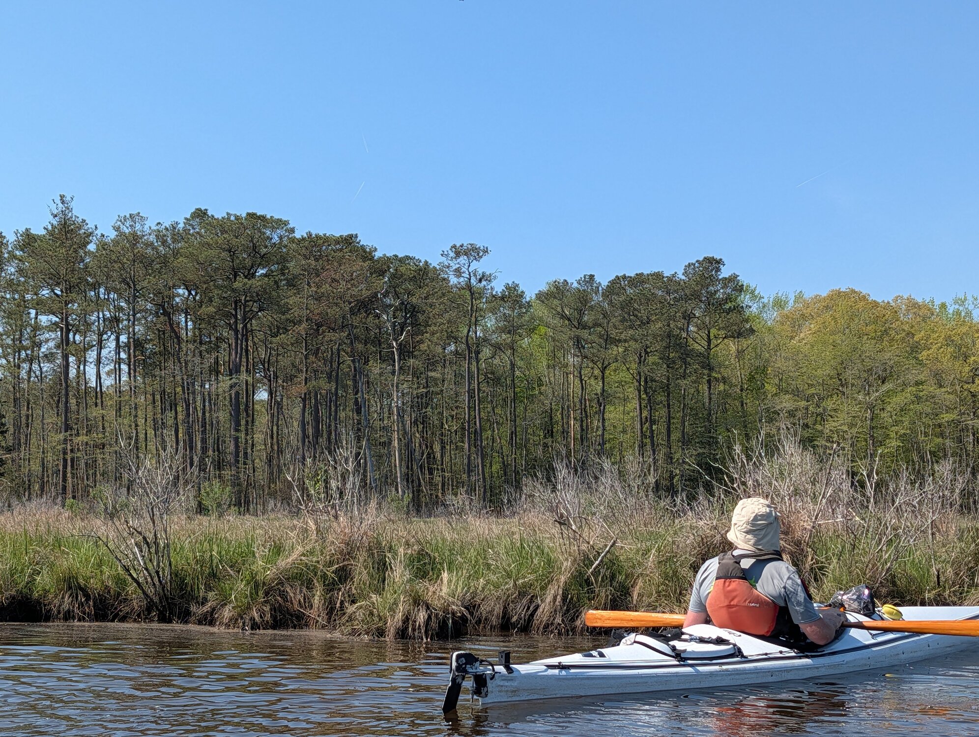 Newport Bay Kayak Tour
