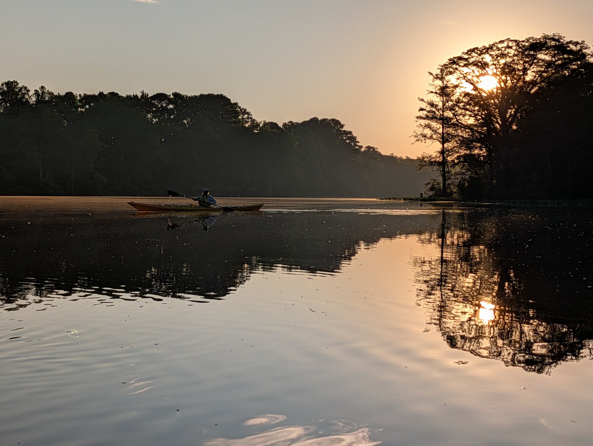 Pocomoke River Sunrise Kayak Tour