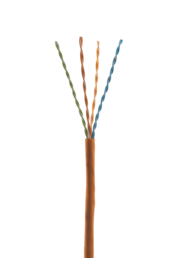 cat6 cable with an orange jacket