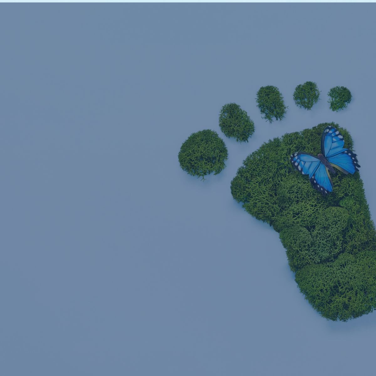 vastuullisuuskäytäntömme